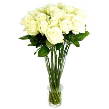 White Roses for Home or Office